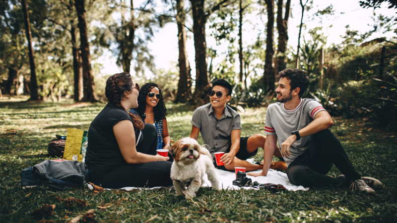 Picnic in forest